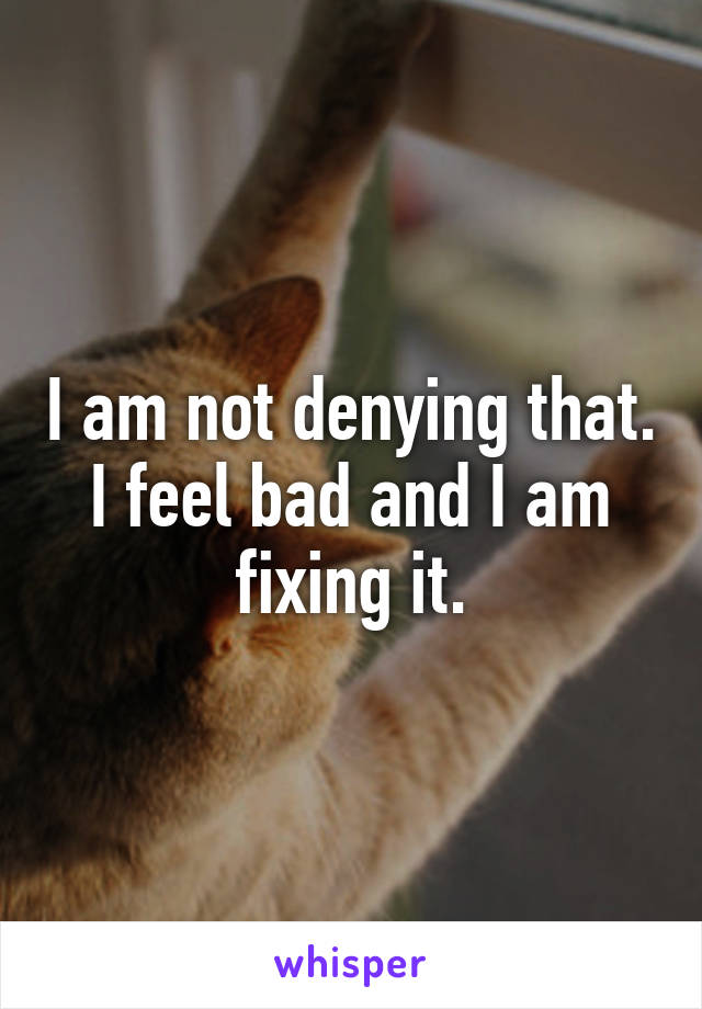 I am not denying that. I feel bad and I am fixing it.