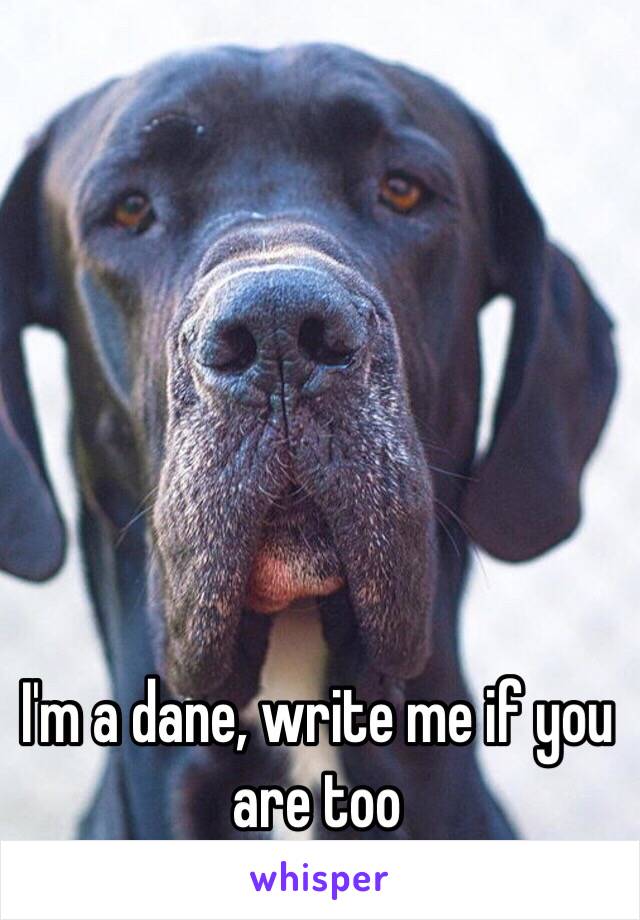 I'm a dane, write me if you are too