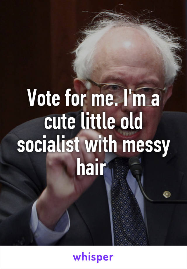 Vote for me. I'm a cute little old socialist with messy hair 