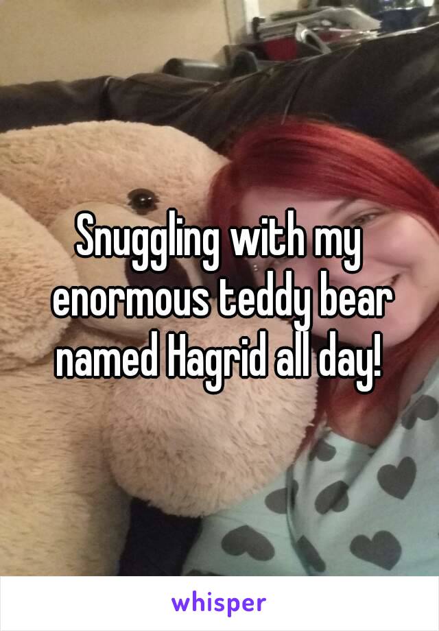 Snuggling with my enormous teddy bear named Hagrid all day! 