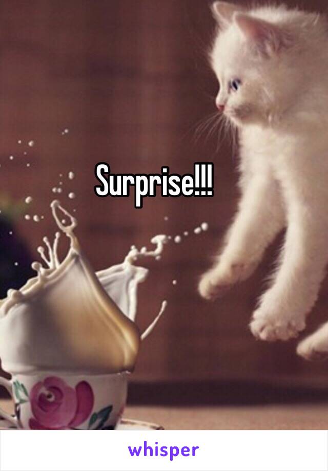 Surprise!!!