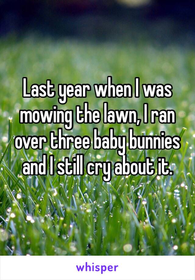 Last year when I was mowing the lawn, I ran over three baby bunnies and I still cry about it. 