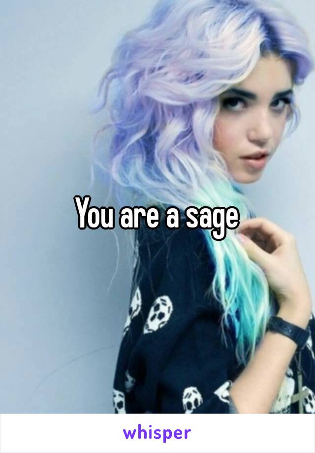 You are a sage