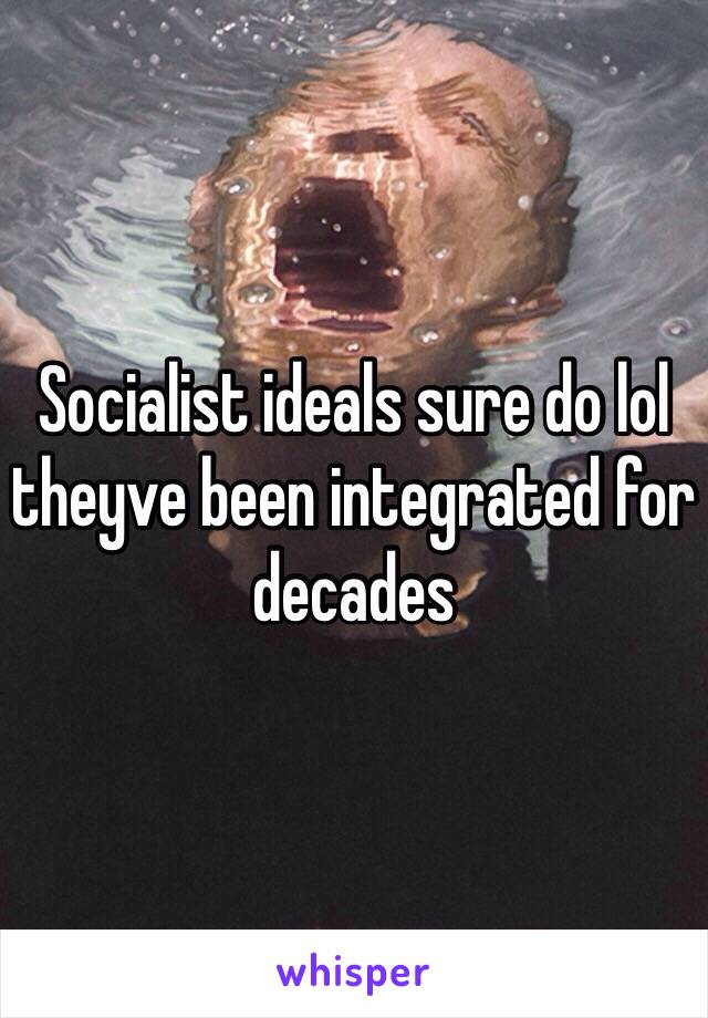 Socialist ideals sure do lol theyve been integrated for decades 