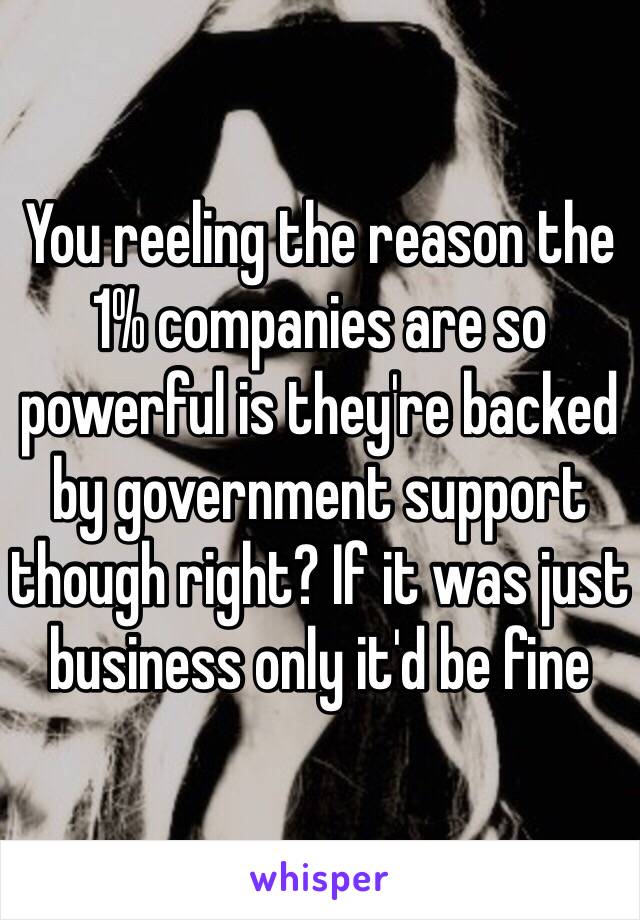 You reeling the reason the 1% companies are so powerful is they're backed by government support though right? If it was just business only it'd be fine 