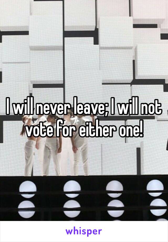 I will never leave; I will not vote for either one!