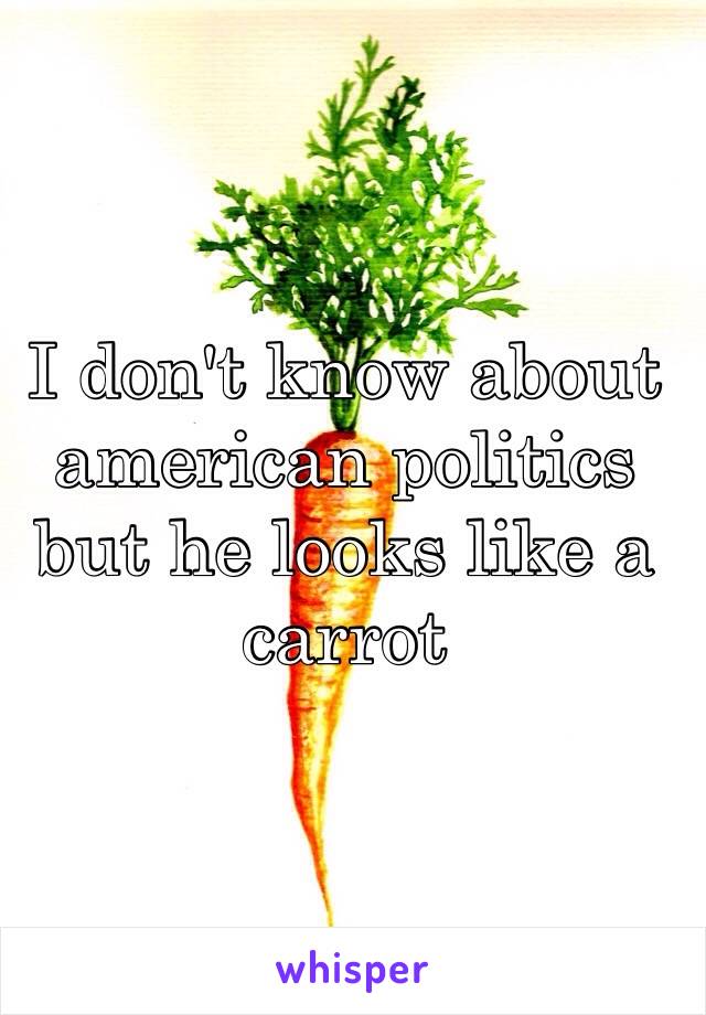 I don't know about american politics but he looks like a carrot