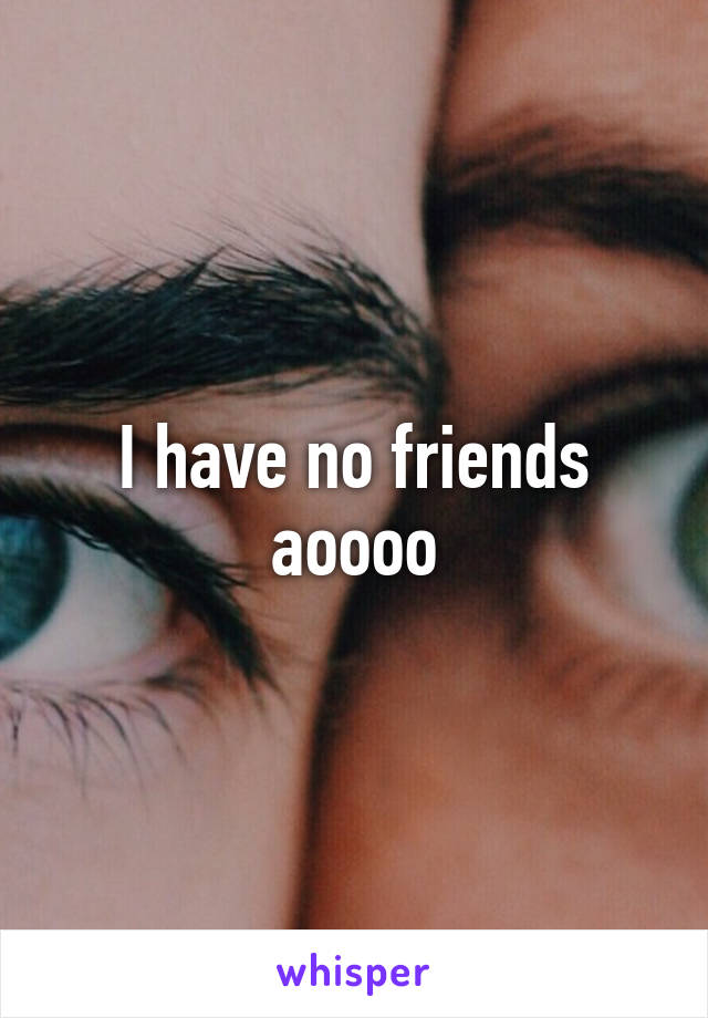 I have no friends aoooo