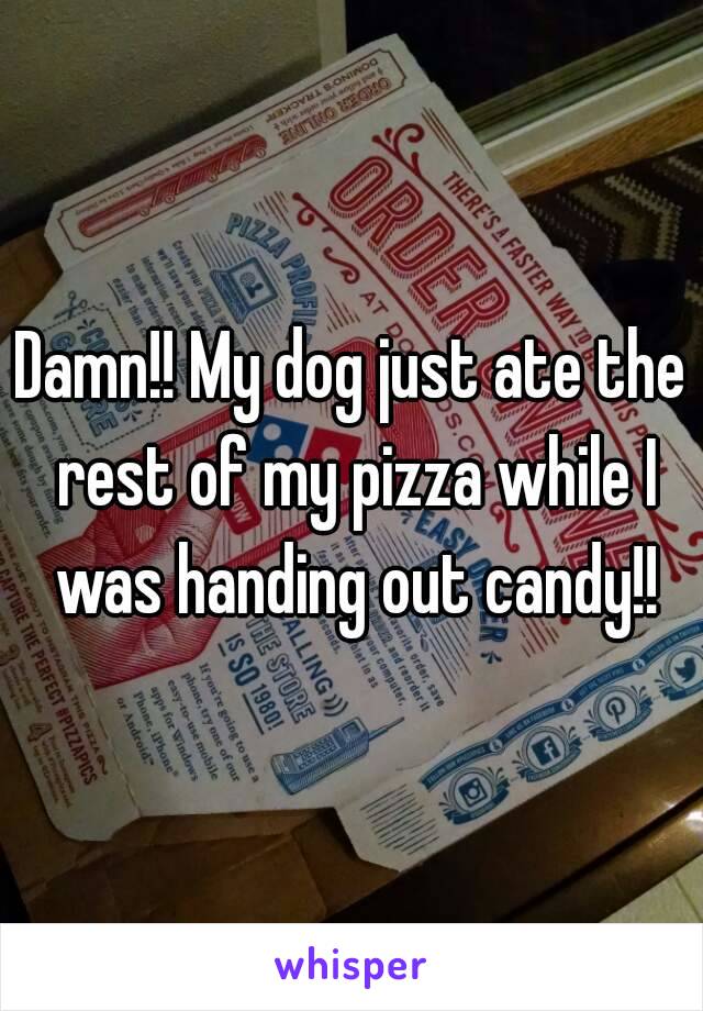 Damn!! My dog just ate the rest of my pizza while I was handing out candy!!