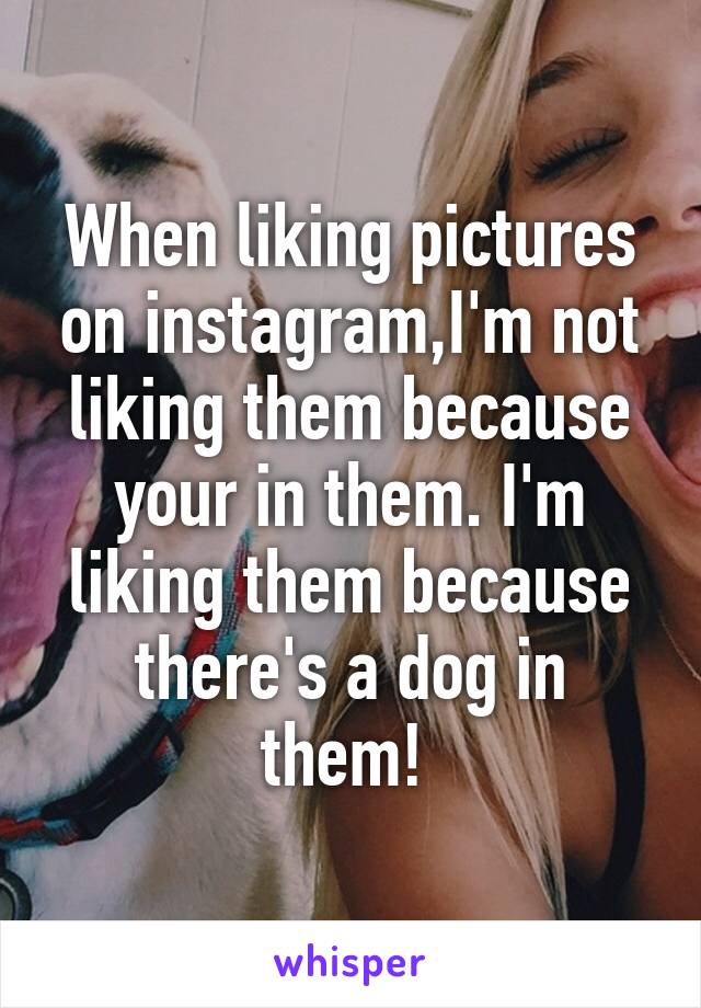 When liking pictures on instagram,I'm not liking them because your in them. I'm liking them because there's a dog in them! 