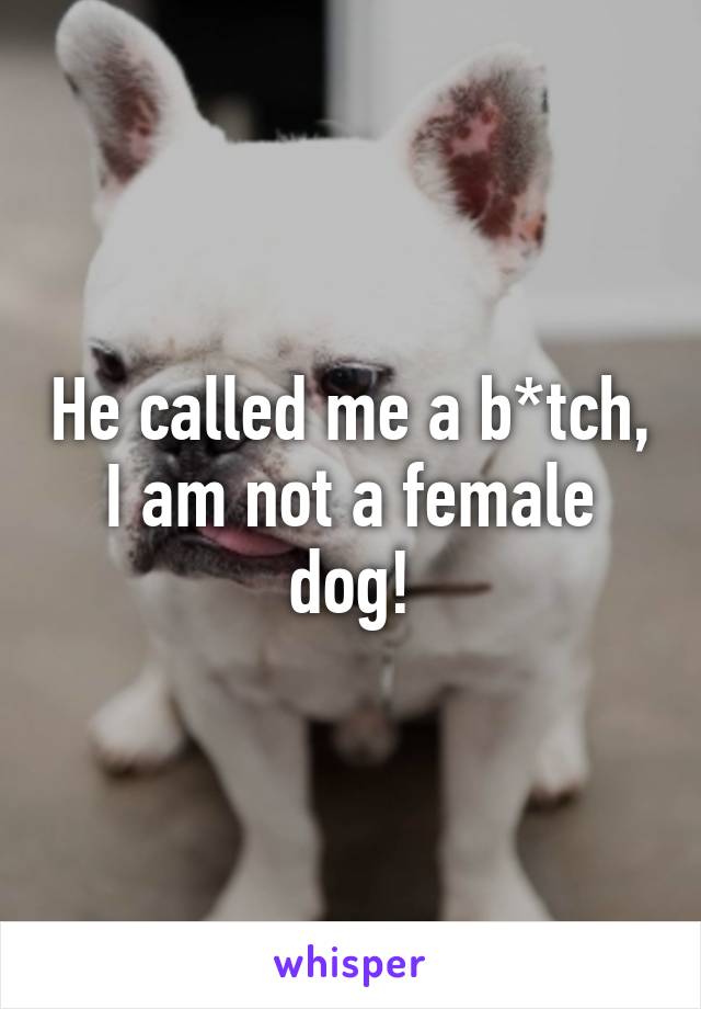 He called me a b*tch, I am not a female dog!