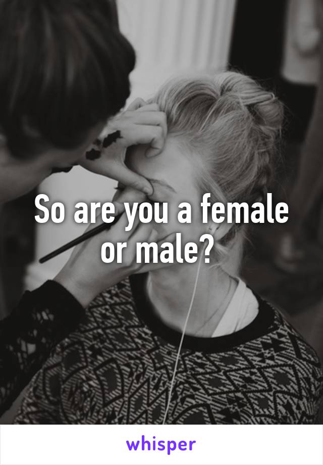 So are you a female or male? 