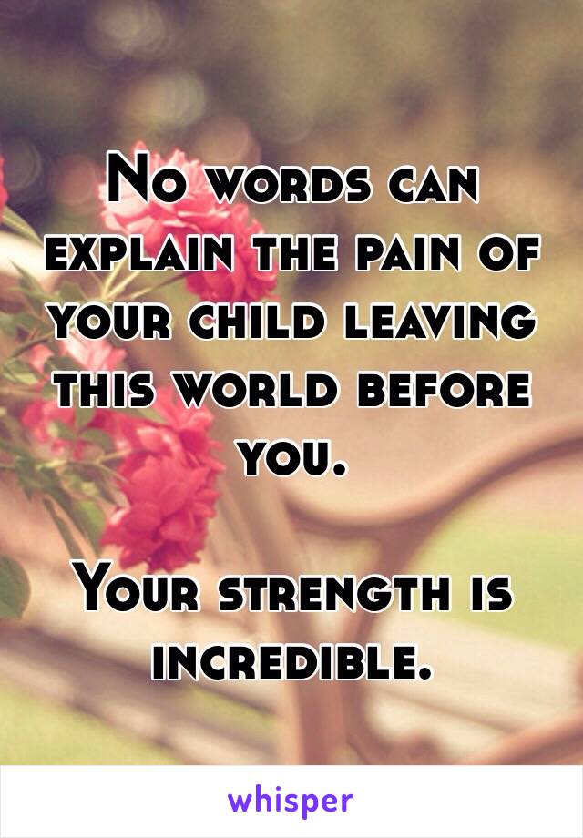 No words can explain the pain of your child leaving this world before you. 

Your strength is incredible. 