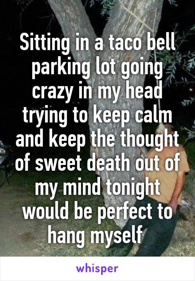 Sitting in a taco bell parking lot going crazy in my head trying to keep calm and keep the thought of sweet death out of my mind tonight would be perfect to hang myself 
