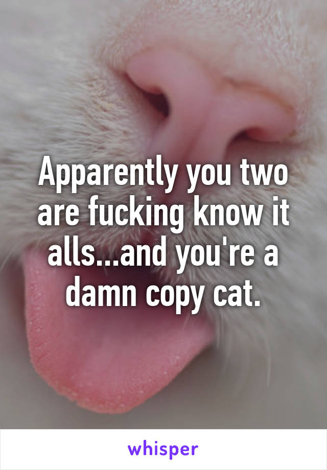 Apparently you two are fucking know it alls...and you're a damn copy cat.