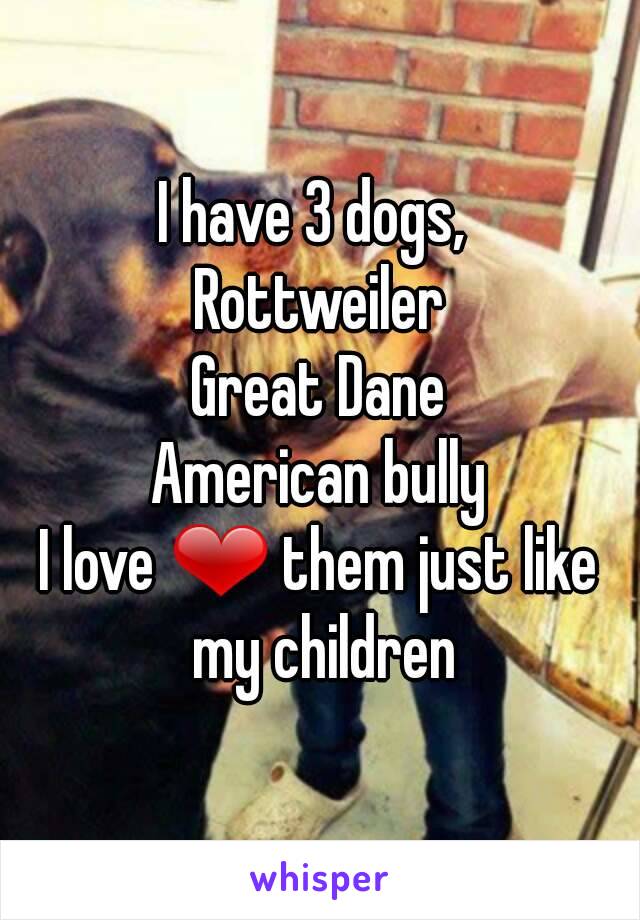I have 3 dogs, 
Rottweiler
Great Dane
American bully
I love ❤ them just like my children