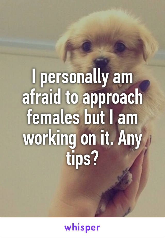 I personally am afraid to approach females but I am working on it. Any tips?