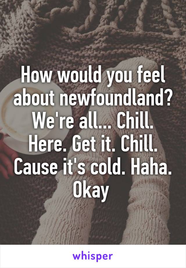 How would you feel about newfoundland? We're all... Chill. Here. Get it. Chill. Cause it's cold. Haha. Okay 