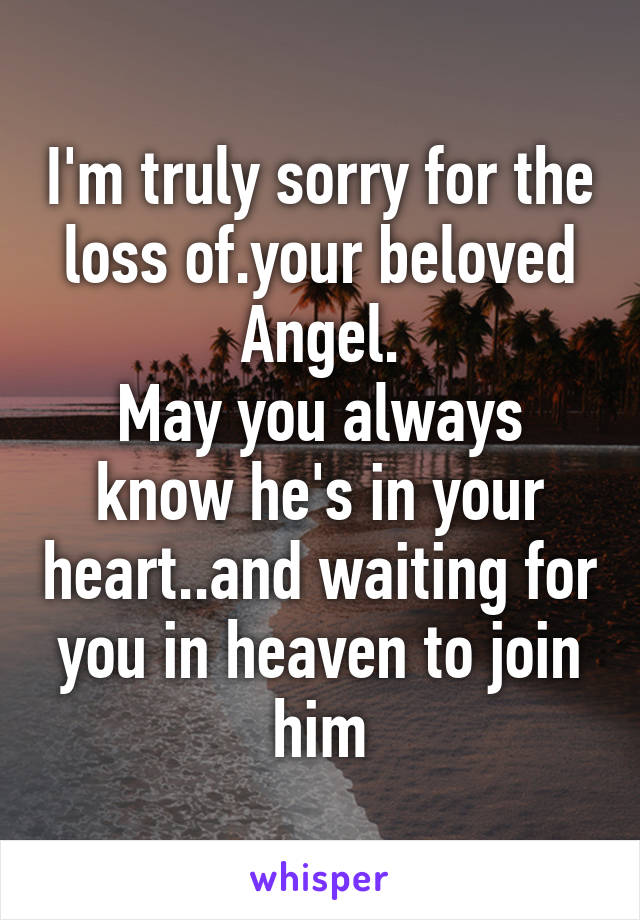 I'm truly sorry for the loss of.your beloved Angel.
May you always know he's in your heart..and waiting for you in heaven to join him