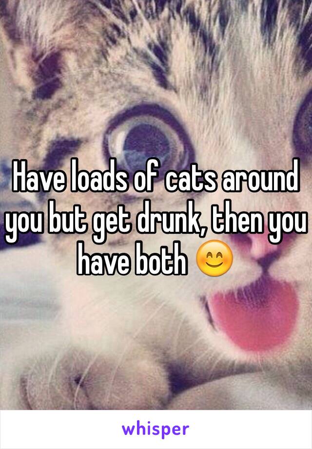 Have loads of cats around you but get drunk, then you have both 😊