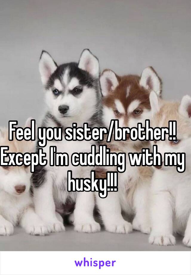 Feel you sister/brother!! Except I'm cuddling with my  husky!!!