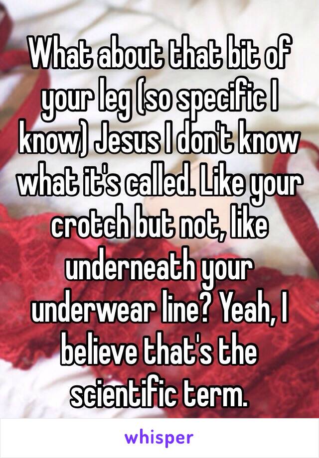 What about that bit of your leg (so specific I know) Jesus I don't know what it's called. Like your crotch but not, like underneath your underwear line? Yeah, I believe that's the scientific term. 