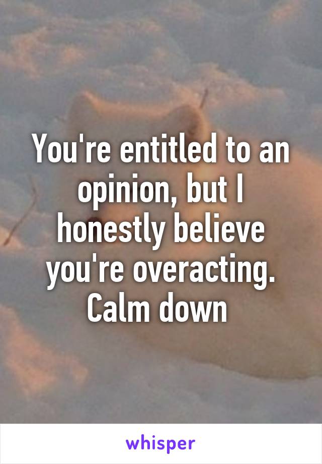 You're entitled to an opinion, but I honestly believe you're overacting. Calm down 