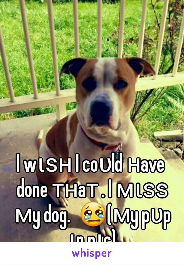 I wιѕн I coυld нave done тнaт . I мιѕѕ мy dog.  😢(мy pυp ιn pιc)