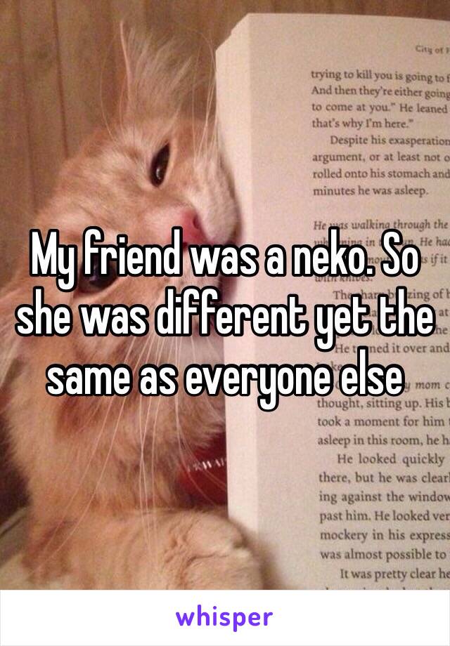 My friend was a neko. So she was different yet the same as everyone else