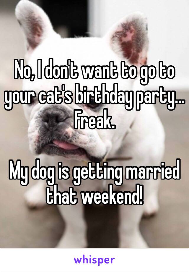 No, I don't want to go to your cat's birthday party... Freak.

My dog is getting married that weekend!