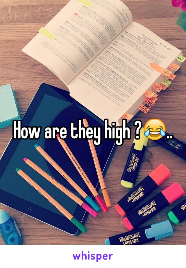 How are they high ?😂..