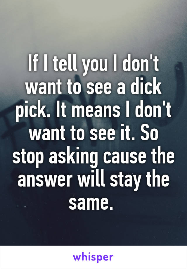 If I tell you I don't want to see a dick pick. It means I don't want to see it. So stop asking cause the answer will stay the same. 