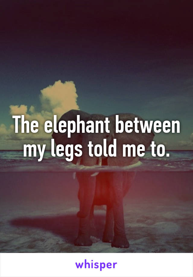 The elephant between my legs told me to.