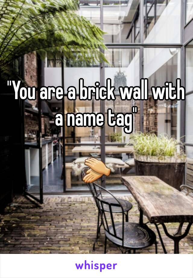 "You are a brick wall with a name tag" 

👏