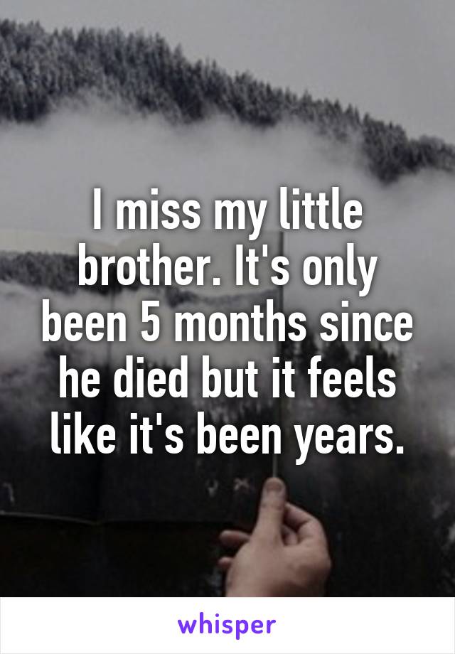 I miss my little brother. It's only been 5 months since he died but it feels like it's been years.