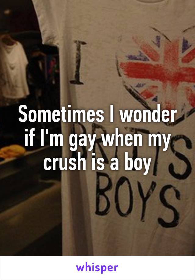 Sometimes I wonder if I'm gay when my crush is a boy