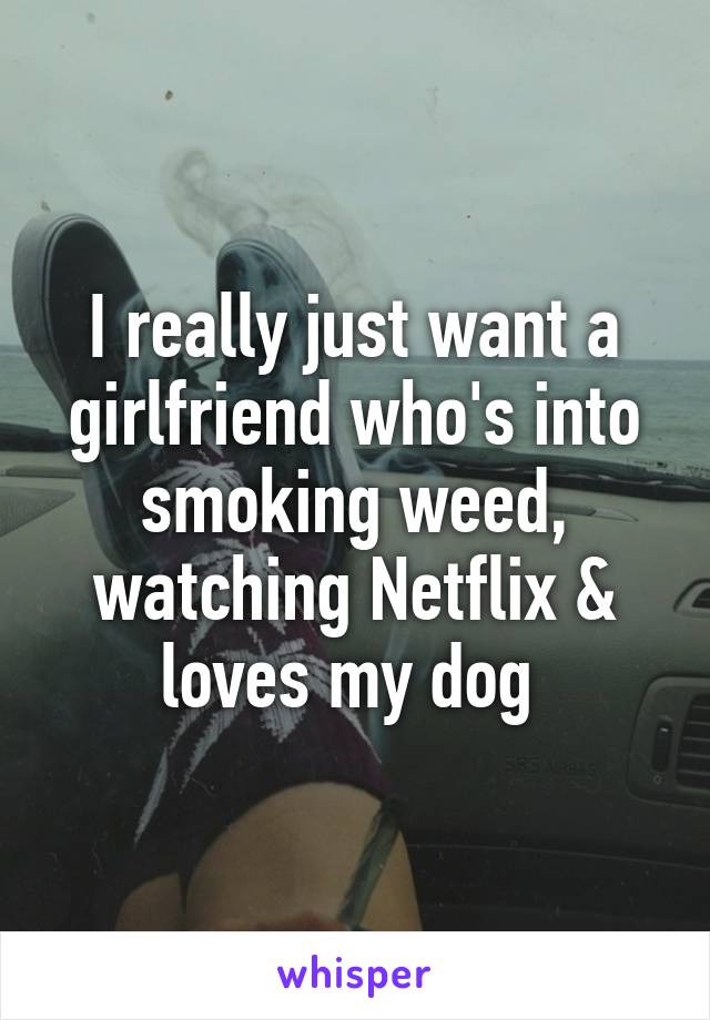 I really just want a girlfriend who's into smoking weed, watching Netflix & loves my dog 