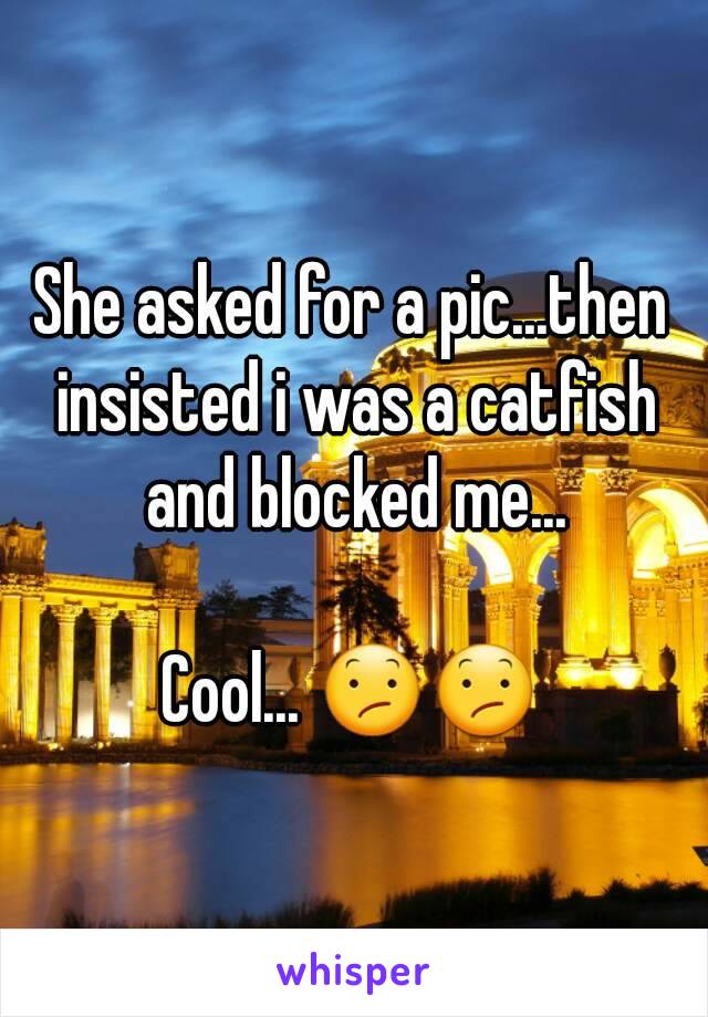 She asked for a pic...then insisted i was a catfish and blocked me...

Cool... 😕😕