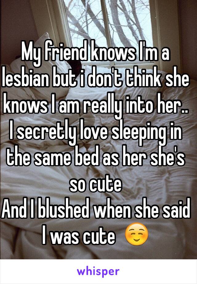 My friend knows I'm a lesbian but i don't think she knows I am really into her.. 
I secretly love sleeping in the same bed as her she's so cute 
And I blushed when she said I was cute  ☺️