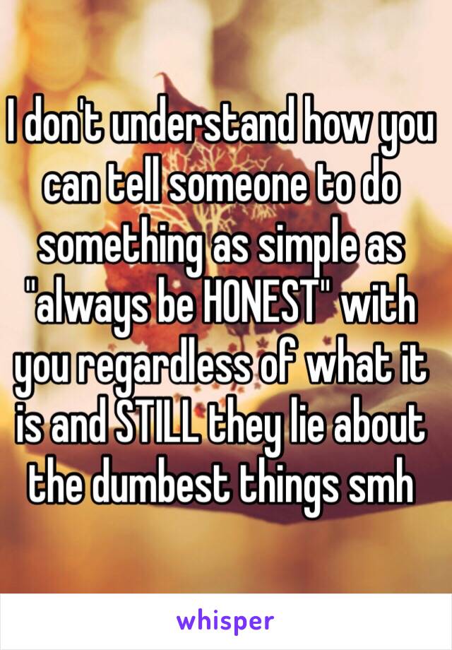 I don't understand how you can tell someone to do something as simple as "always be HONEST" with you regardless of what it is and STILL they lie about the dumbest things smh 