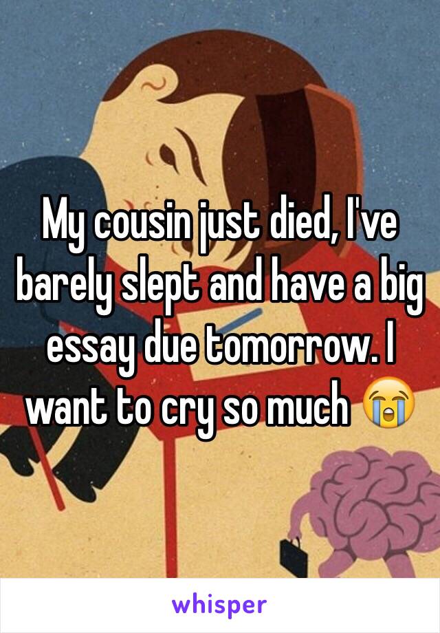 My cousin just died, I've barely slept and have a big essay due tomorrow. I want to cry so much 😭