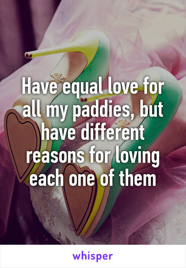 Have equal love for all my paddies, but have different reasons for loving each one of them