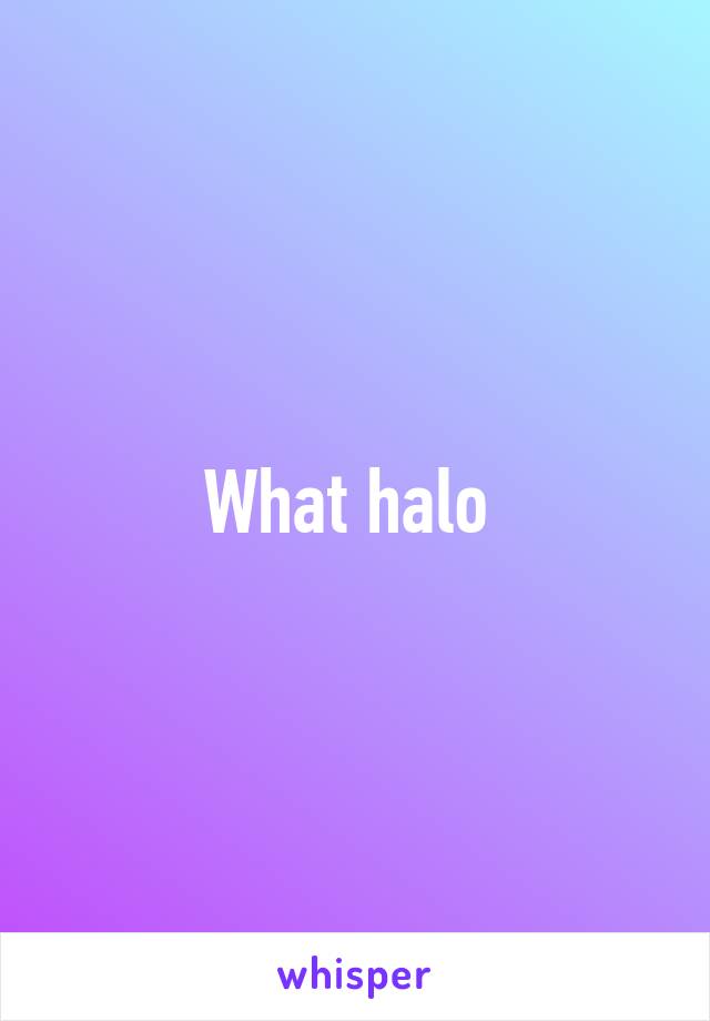 What halo 
