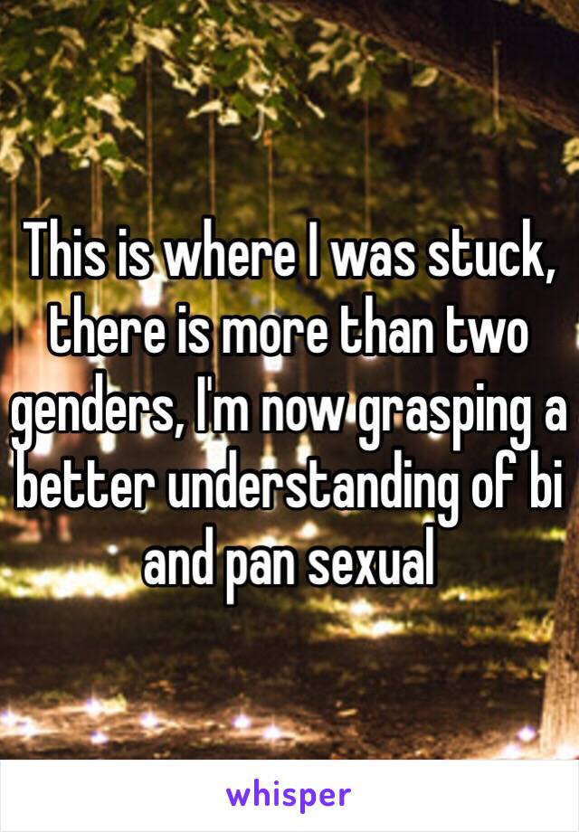 This is where I was stuck, there is more than two genders, I'm now grasping a better understanding of bi and pan sexual 