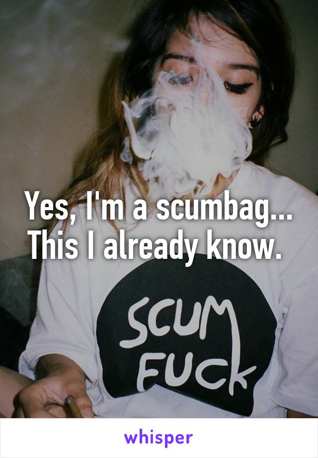 Yes, I'm a scumbag... This I already know. 