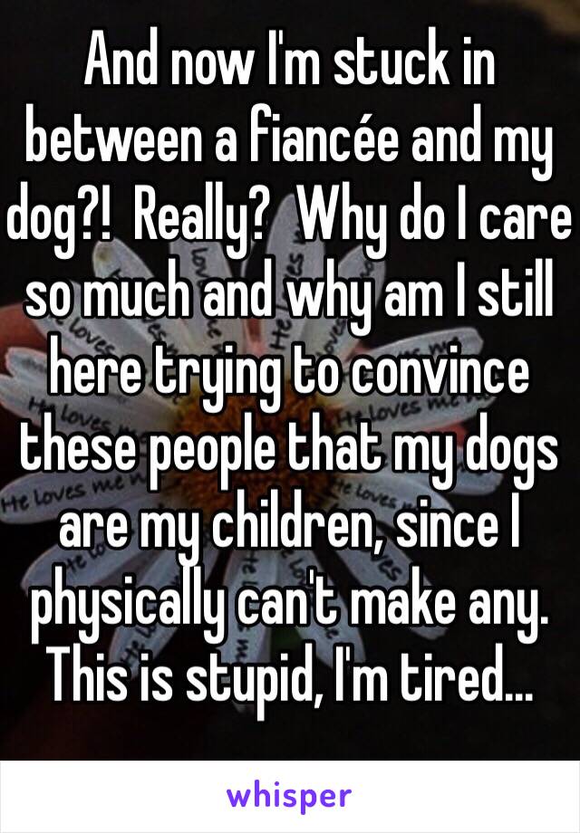 And now I'm stuck in between a fiancée and my dog?!  Really?  Why do I care so much and why am I still here trying to convince these people that my dogs are my children, since I physically can't make any.  This is stupid, I'm tired...