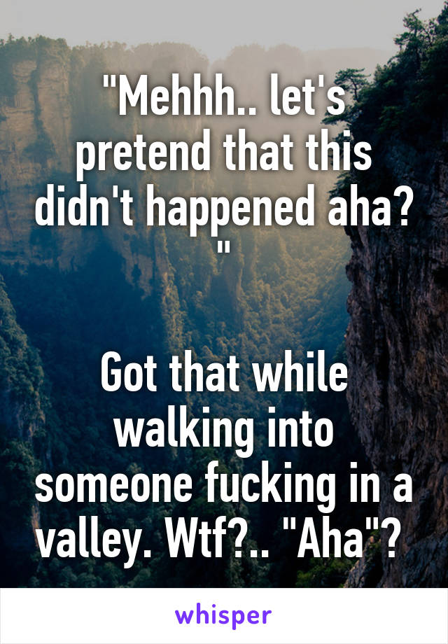 "Mehhh.. let's pretend that this didn't happened aha? "

Got that while walking into someone fucking in a valley. Wtf?.. "Aha"? 