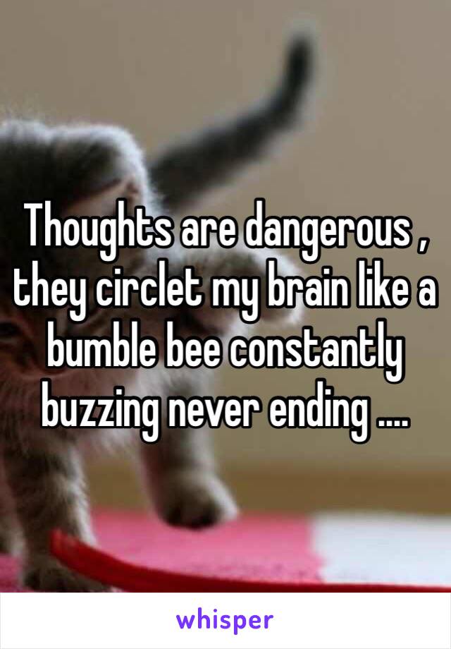 Thoughts are dangerous , they circlet my brain like a bumble bee constantly buzzing never ending ....