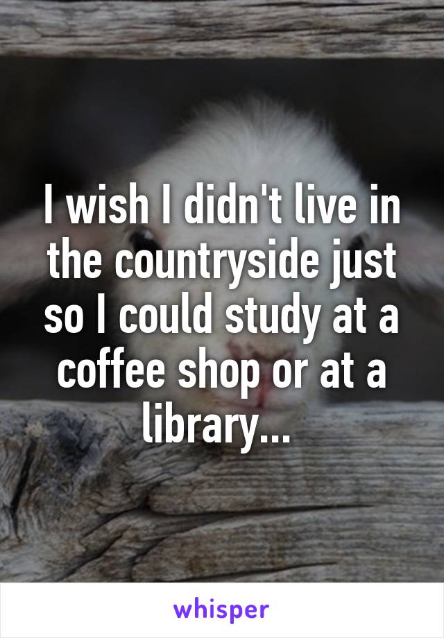 I wish I didn't live in the countryside just so I could study at a coffee shop or at a library... 