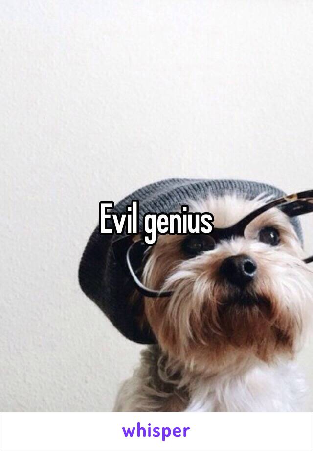 Evil genius 